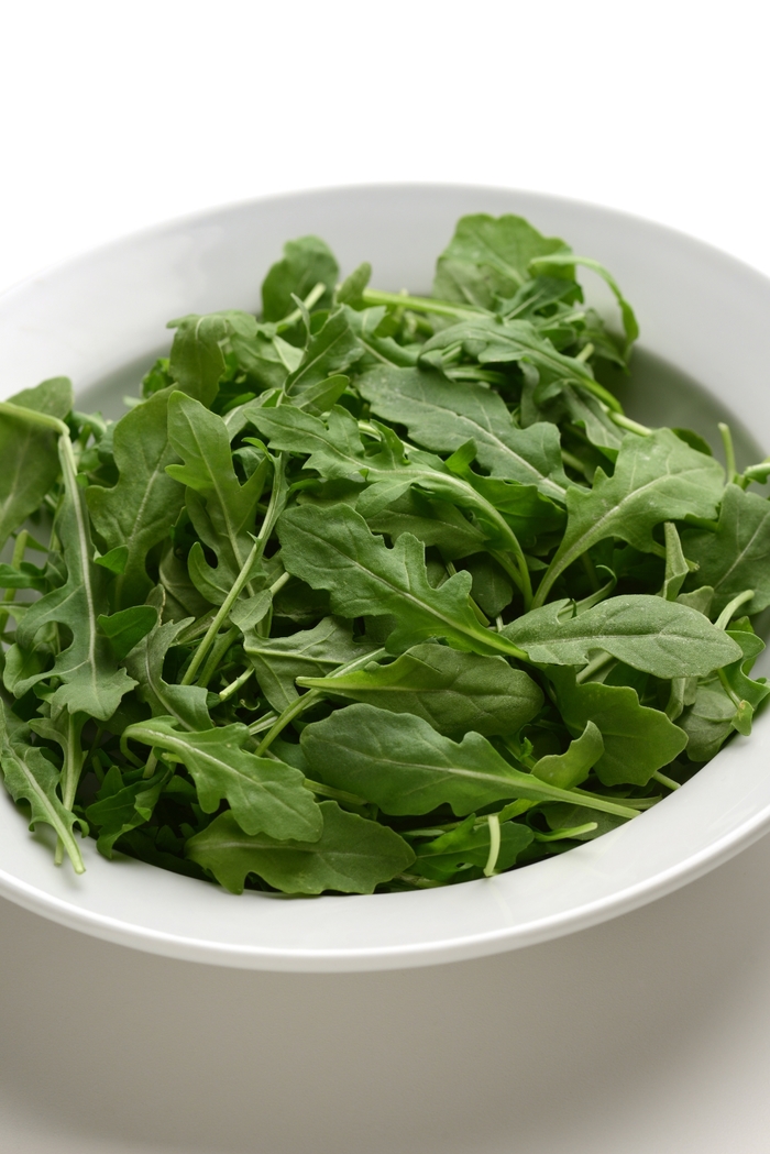 Arugula - Arugula sativa from Tidal Roots Garden Center Arugula - Arugula sativa from Tidal Roots Garden Center