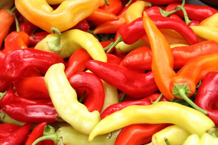 'Sweet Banana' Pepper 'Sweet Banana' - Capsicum annuum from Tidal Roots Garden Center 'Sweet Banana' Pepper 'Sweet Banana' - Capsicum annuum from Tidal Roots Garden Center